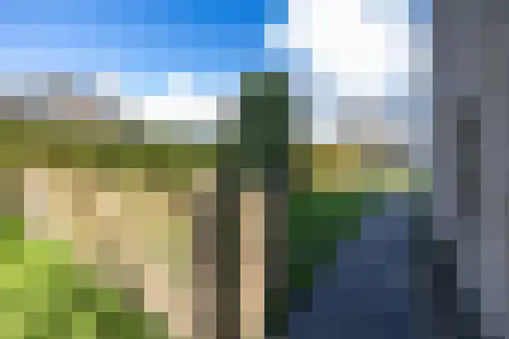 Torenakkers 5 Tynaarlo thumbnail 12