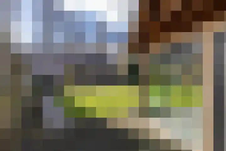 Torenakkers 5 Tynaarlo thumbnail 14
