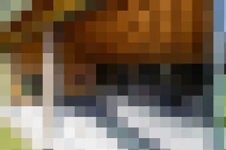 Torenakkers 5 Tynaarlo thumbnail 15