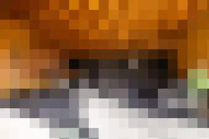 Torenakkers 5 Tynaarlo thumbnail 16