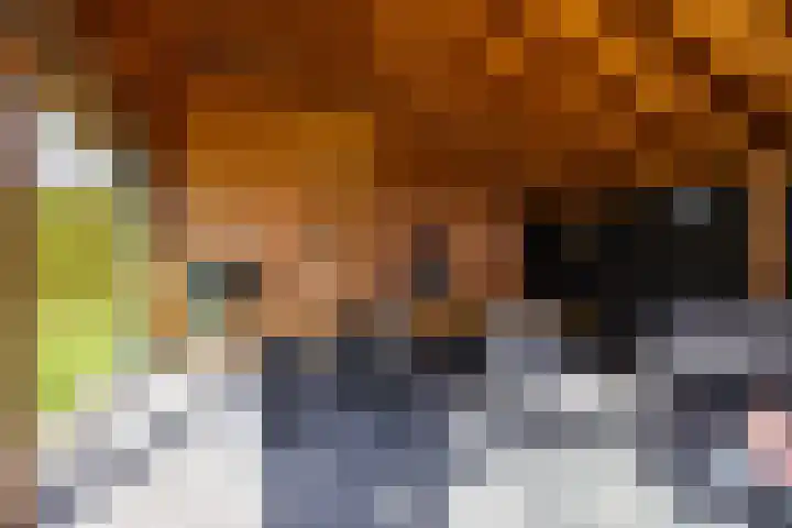 Torenakkers 5 Tynaarlo thumbnail 17