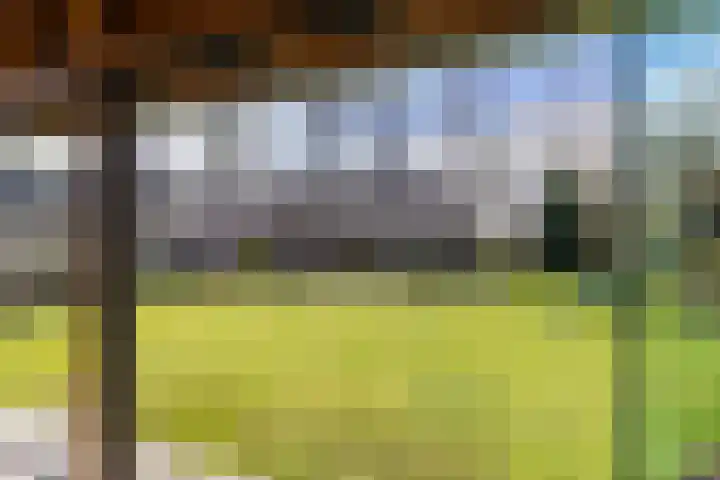Torenakkers 5 Tynaarlo thumbnail 20
