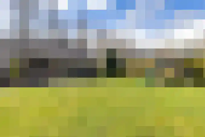 Torenakkers 5 Tynaarlo thumbnail 21