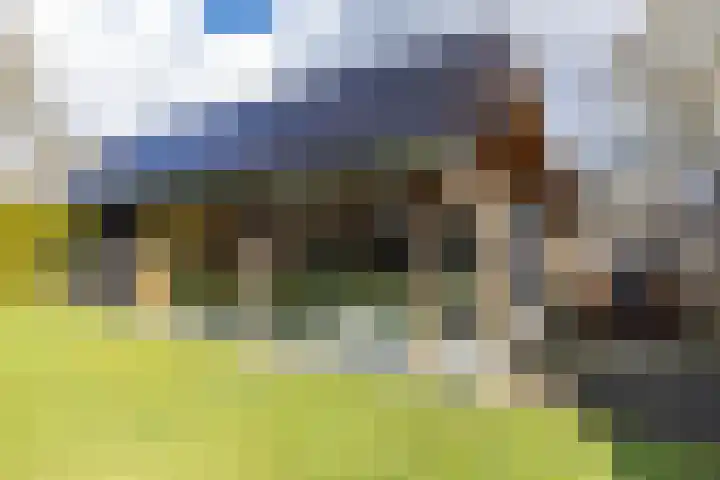 Torenakkers 5 Tynaarlo thumbnail 22