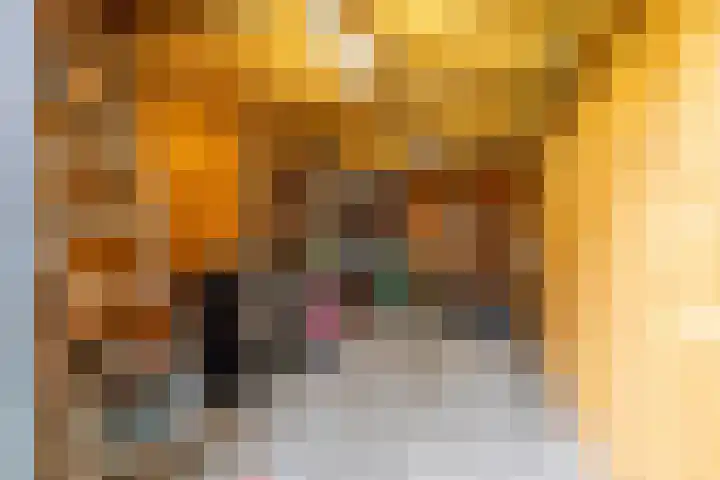 Torenakkers 5 Tynaarlo thumbnail 23