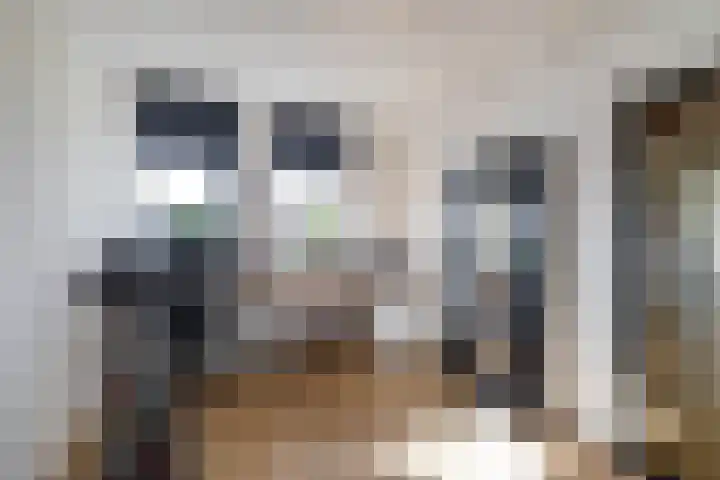 Torenakkers 5 Tynaarlo thumbnail 26