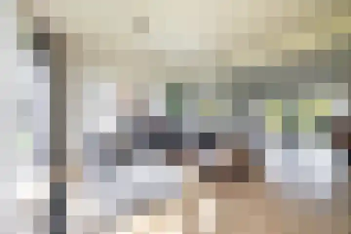 Torenakkers 5 Tynaarlo thumbnail 31