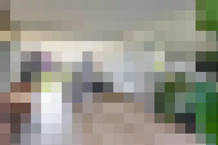 Torenakkers 5 Tynaarlo thumbnail 32