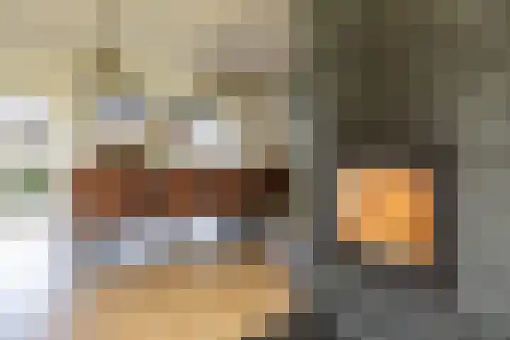 Torenakkers 5 Tynaarlo thumbnail 35