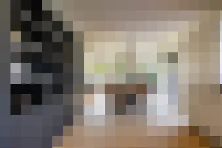 Torenakkers 5 Tynaarlo thumbnail 36