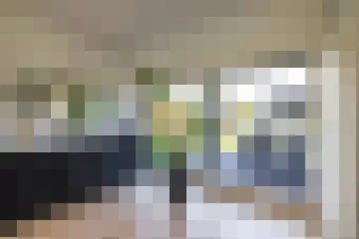 Torenakkers 5 Tynaarlo thumbnail 38