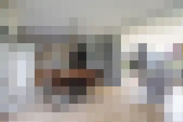 Torenakkers 5 Tynaarlo thumbnail 40