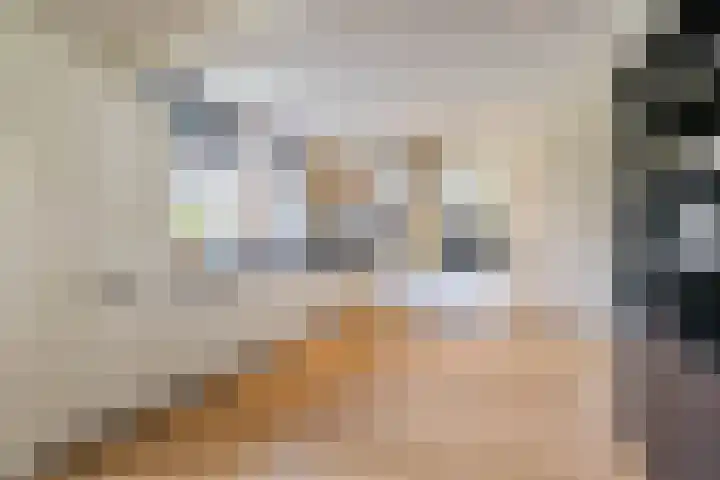 Torenakkers 5 Tynaarlo thumbnail 42