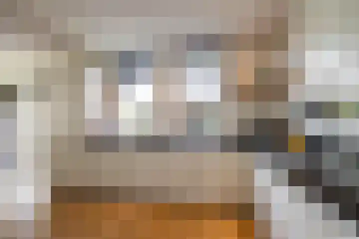 Torenakkers 5 Tynaarlo thumbnail 45