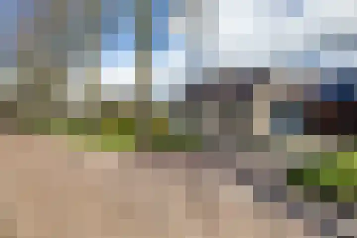 Torenakkers 5 Tynaarlo thumbnail 5