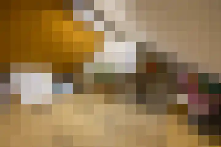 Torenakkers 5 Tynaarlo thumbnail 50