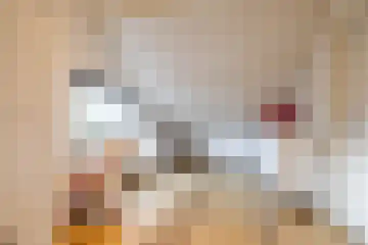 Torenakkers 5 Tynaarlo thumbnail 53