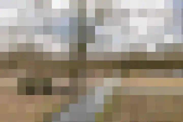 Torenakkers 5 Tynaarlo thumbnail 61