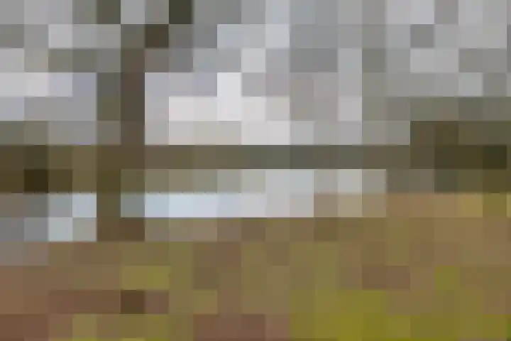 Torenakkers 5 Tynaarlo thumbnail 62