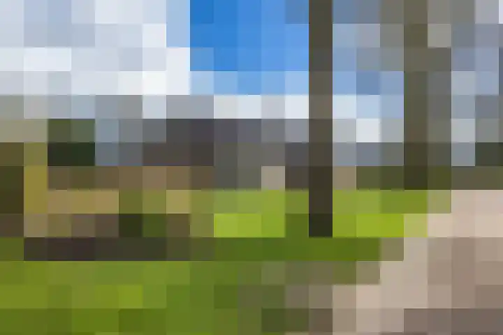 Torenakkers 5 Tynaarlo thumbnail 7