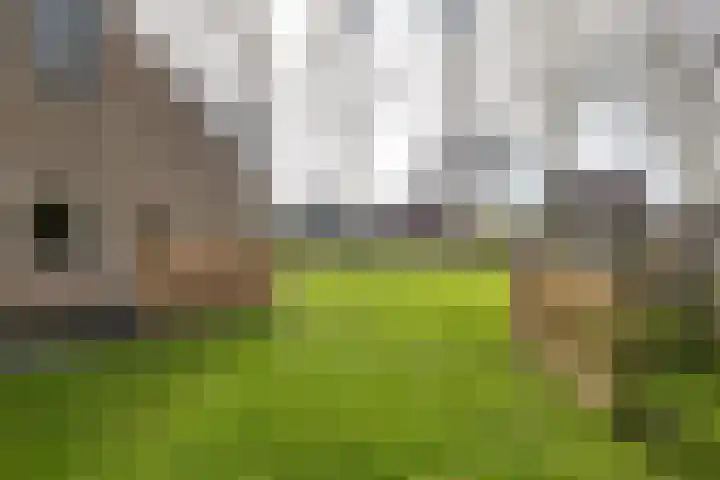 Torenakkers 5 Tynaarlo thumbnail 8