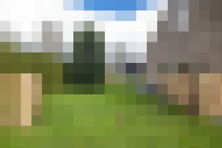 Torenakkers 5 Tynaarlo thumbnail 9
