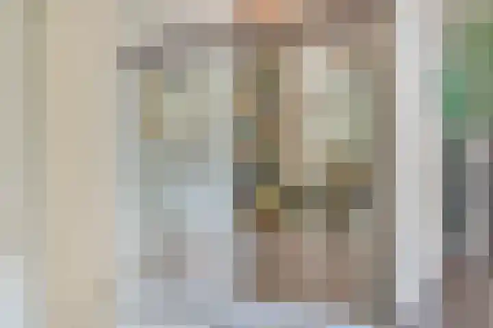 Torenakkers 9 Havelte thumbnail 11