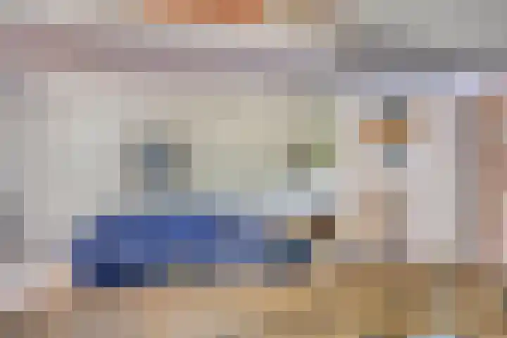 Torenakkers 9 Havelte thumbnail 12