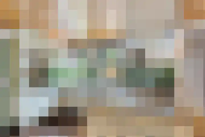 Torenakkers 9 Havelte thumbnail 13