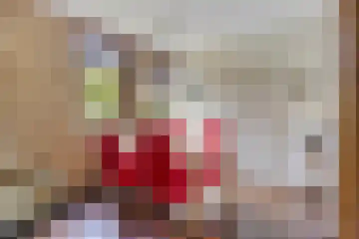 Torenakkers 9 Havelte thumbnail 16