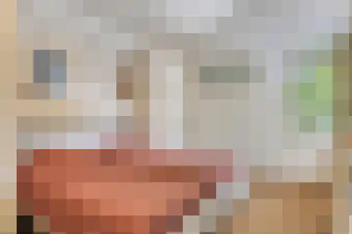 Torenakkers 9 Havelte thumbnail 17