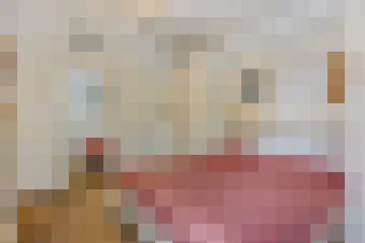 Torenakkers 9 Havelte thumbnail 18