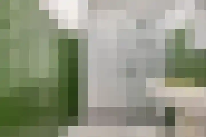 Torenakkers 9 Havelte thumbnail 19