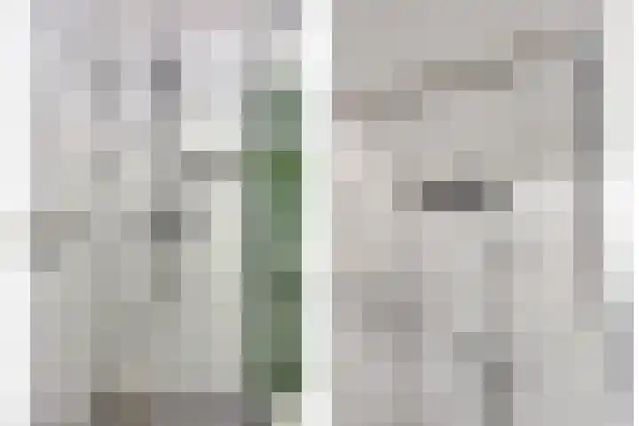 Torenakkers 9 Havelte thumbnail 20