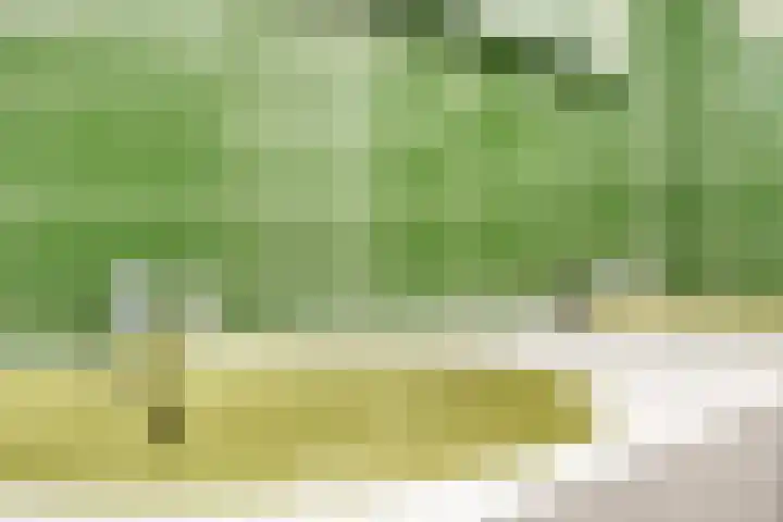 Torenakkers 9 Havelte thumbnail 21