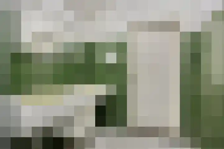 Torenakkers 9 Havelte thumbnail 22