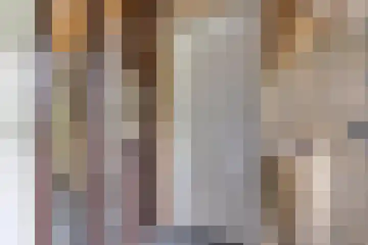 Torenakkers 9 Havelte thumbnail 24