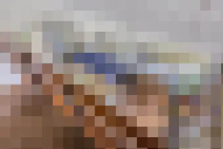 Torenakkers 9 Havelte thumbnail 27