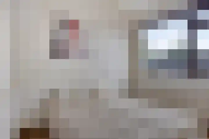 Torenakkers 9 Havelte thumbnail 28