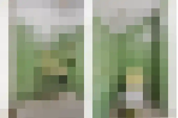 Torenakkers 9 Havelte thumbnail 32