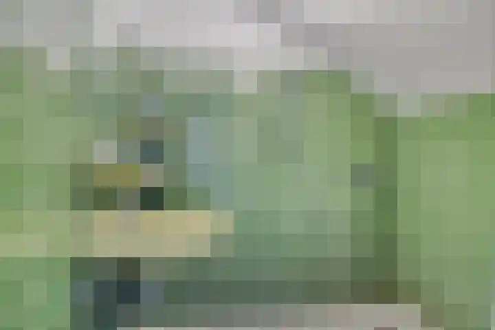 Torenakkers 9 Havelte thumbnail 33