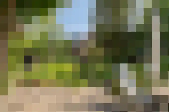 Torenakkers 9 Havelte thumbnail 34