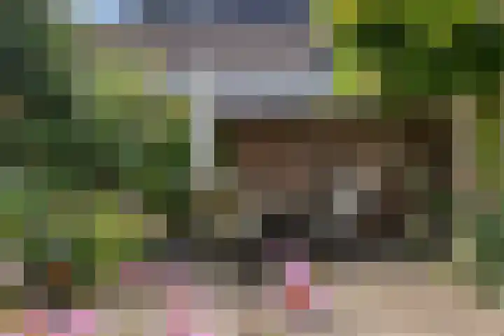 Torenakkers 9 Havelte thumbnail 35