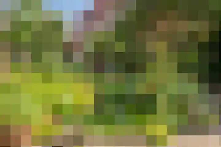 Torenakkers 9 Havelte thumbnail 36