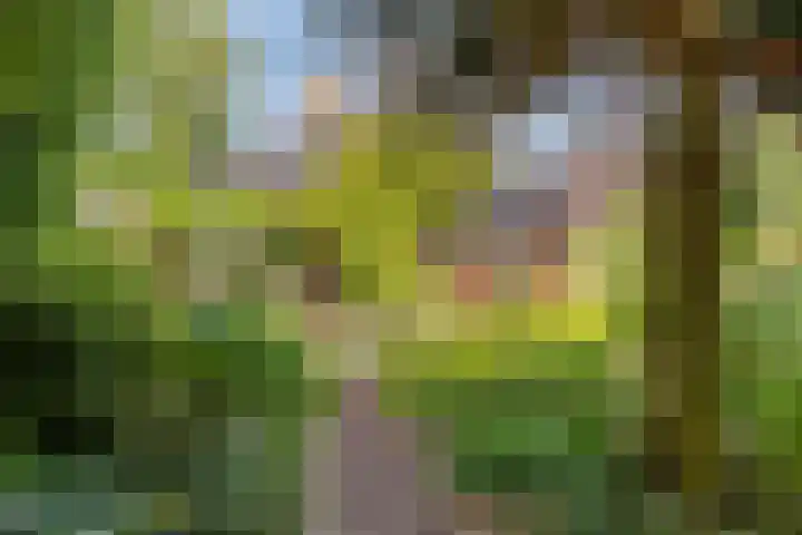 Torenakkers 9 Havelte thumbnail 37