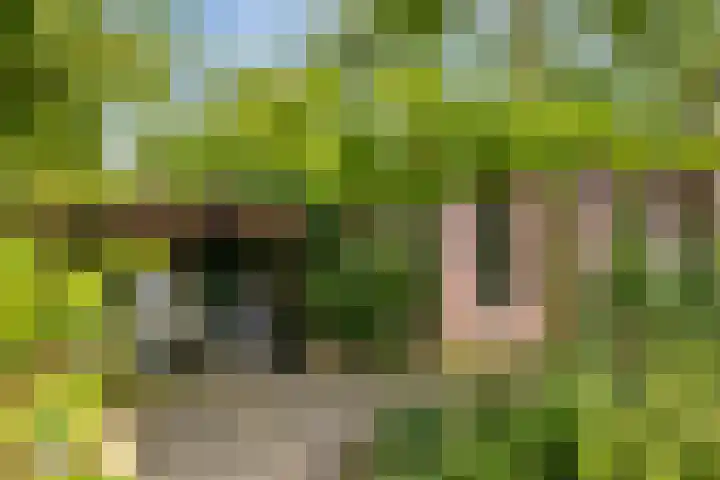 Torenakkers 9 Havelte thumbnail 38