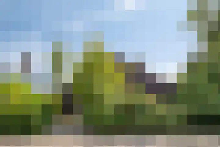 Torenakkers 9 Havelte thumbnail 39