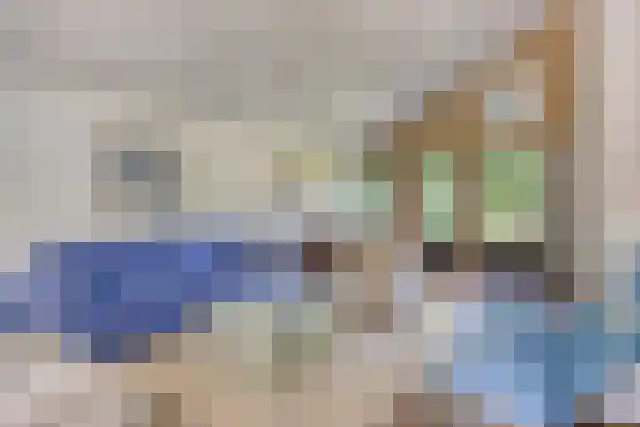 Torenakkers 9 Havelte thumbnail 4