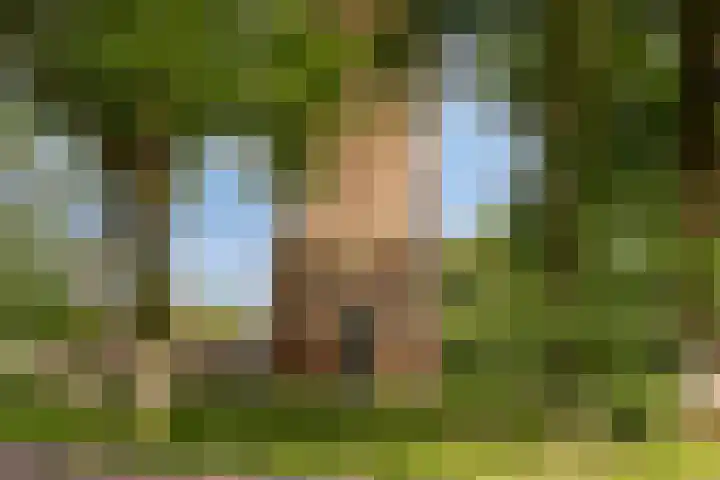 Torenakkers 9 Havelte thumbnail 43