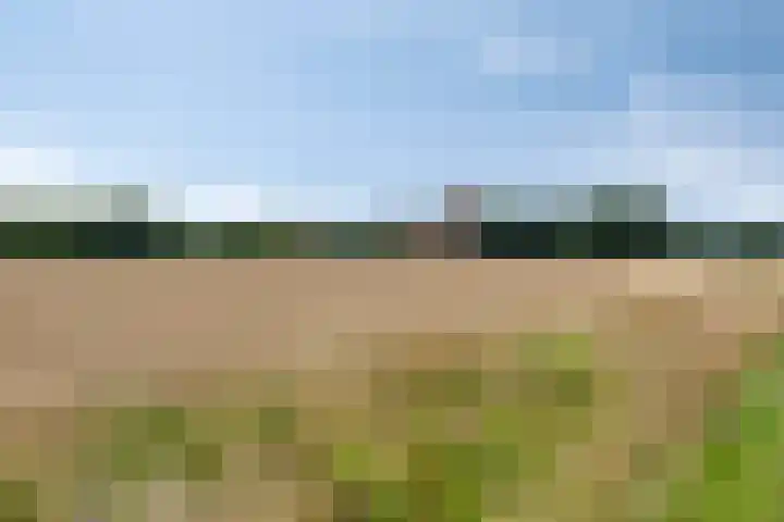 Torenakkers 9 Havelte thumbnail 44